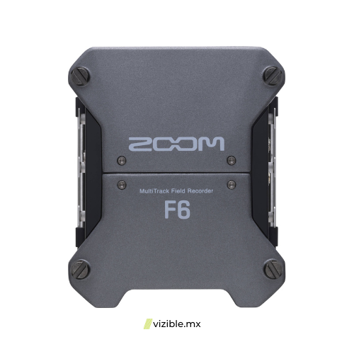 Zoom F6